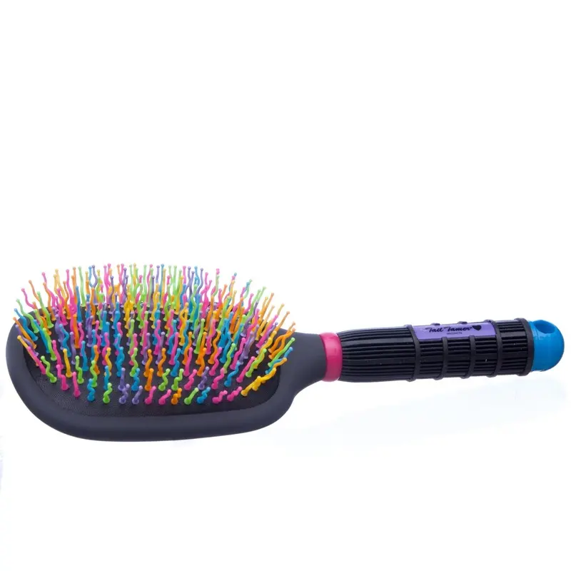 Rainbow Paddle Brush