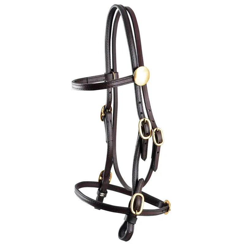 Tucker Pleasure Trail Bridle