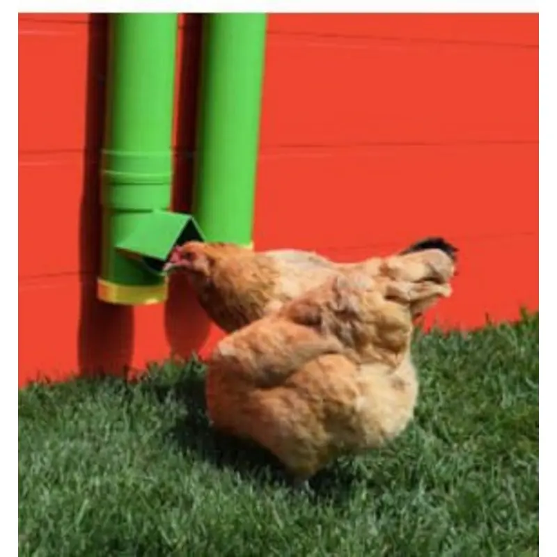 High End Hen Poultry Feeder & Waterer