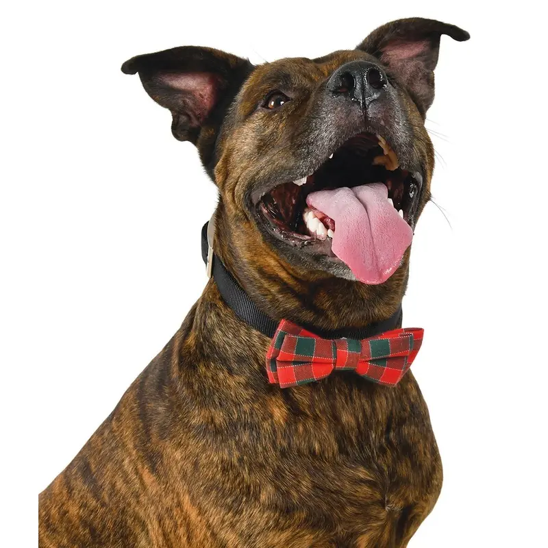 Plaid Holiday Bow Tie for Dogs