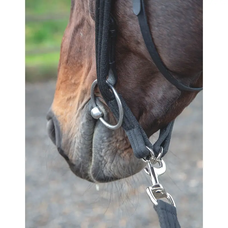 Shires Lunging Adapter