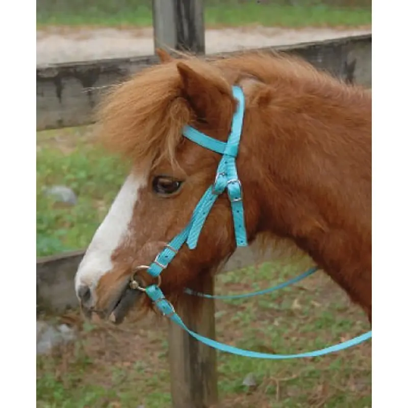 Triple E Miniature Nylon Headstall with Bit & Reins