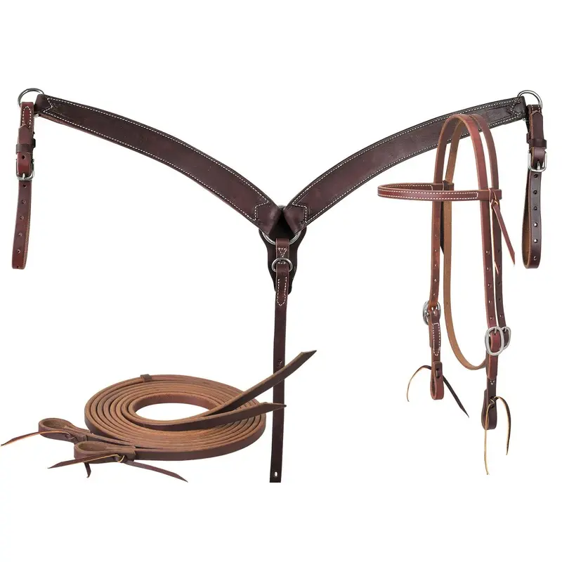 Oiled Harness Tack Set with Browband Headstall, Stainless Kit