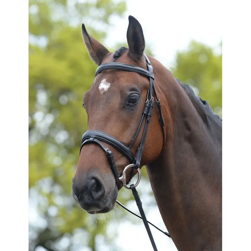 Kincade Leather Padded Flash Horse Bridle