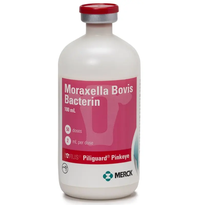 Bovilis Piliguard Pinkeye Cattle Vaccine