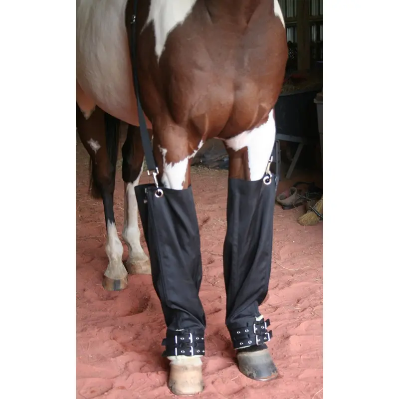 Roma Full Ice Boots for Horses, Pair