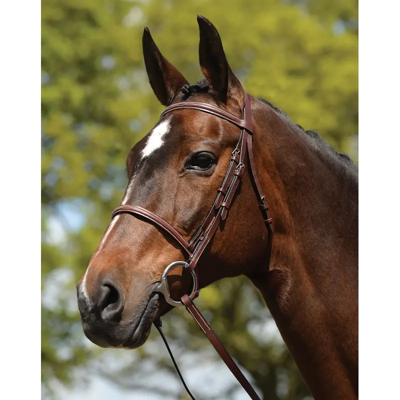Weatherbeeta Fancy Stitched Bridle w/ Reins, Brown