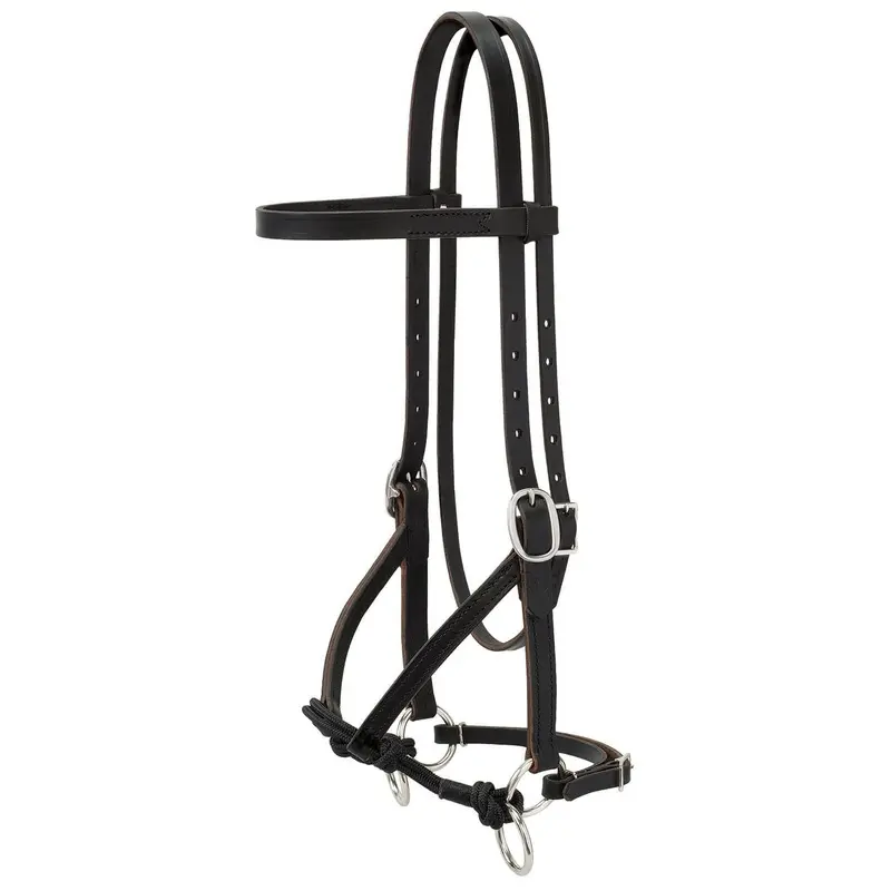 Justin Dunn Bitless Bridle