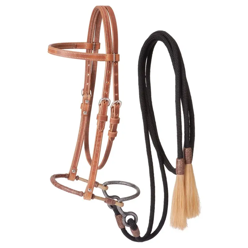 Harness Leather Headstall with Training Bosal