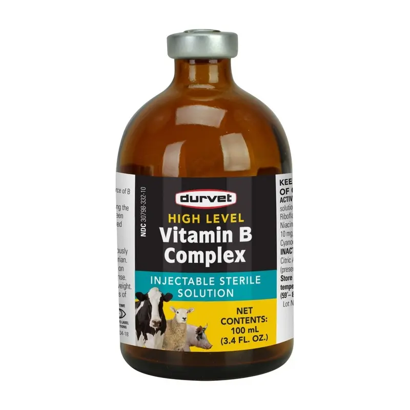 High Level Vitamin B Complex, 100 mL