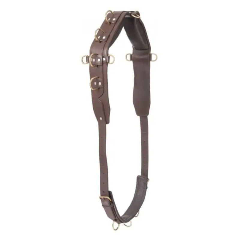 Professional Heavy Leather Surcingle