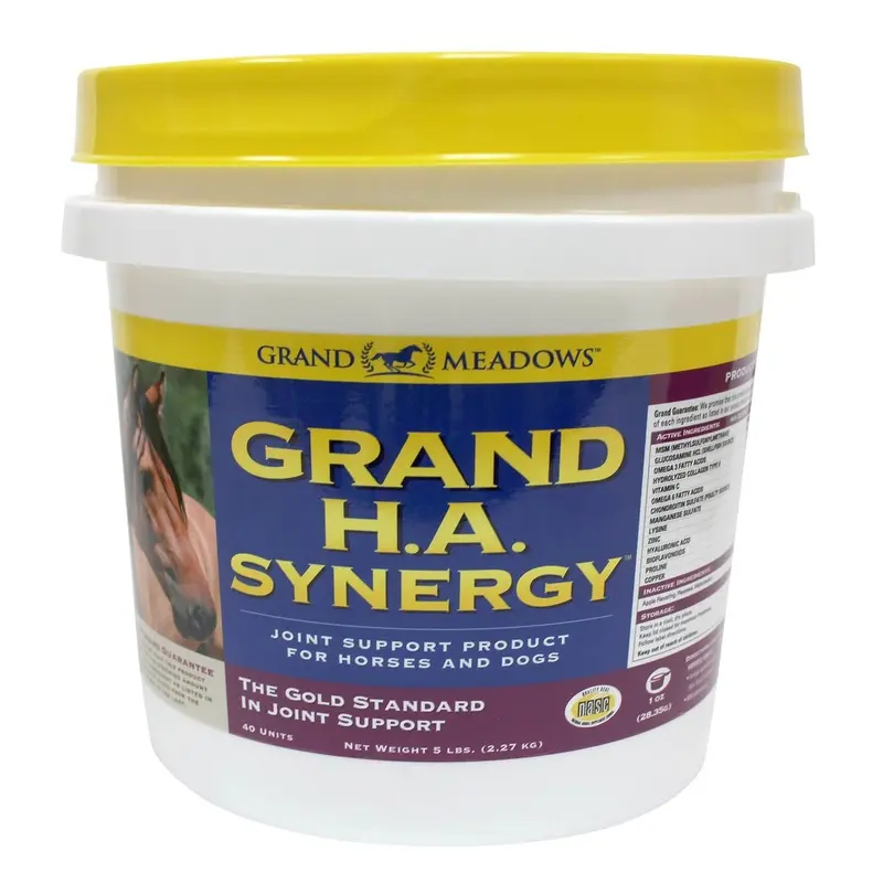 Grand H.A. Synergy Advanced Joint Supplement for Horses & Dogs