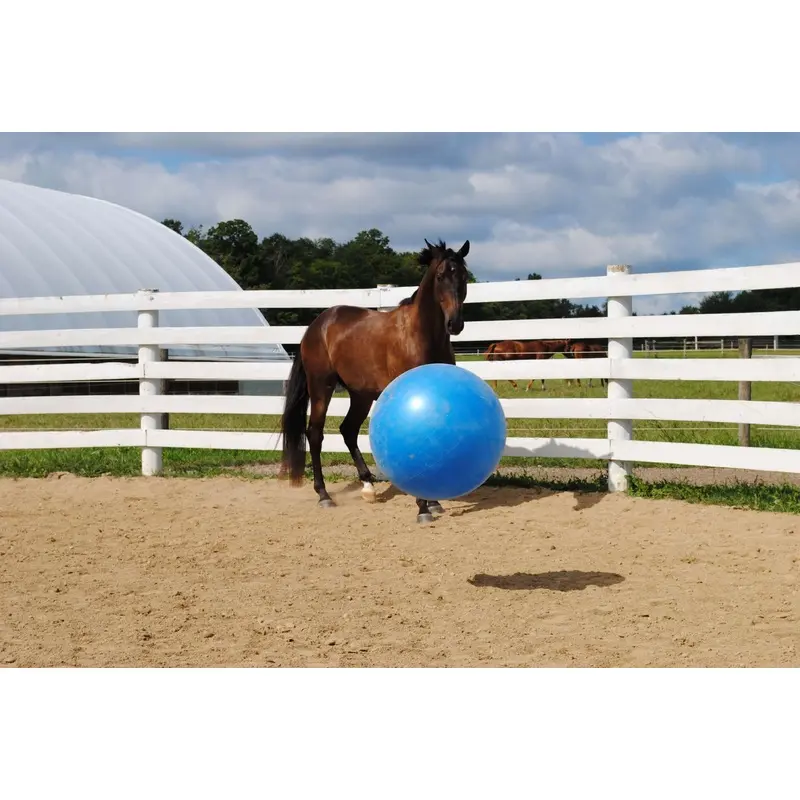 Jolly Mega Ball for Horses