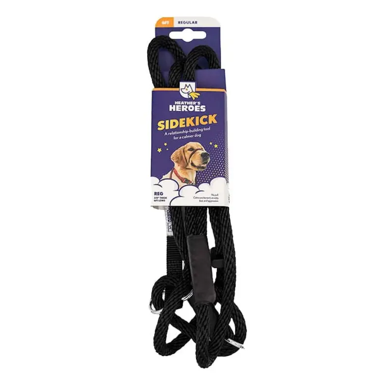 The Sidekick Dog Training Lead