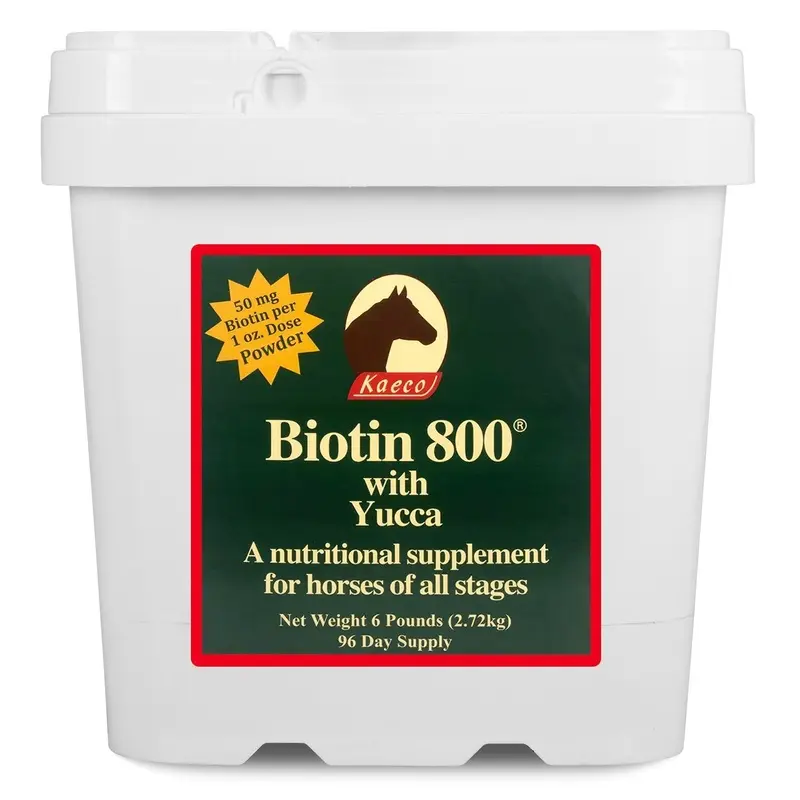 Biotin 800 Powder with Yucca Equine Supplement