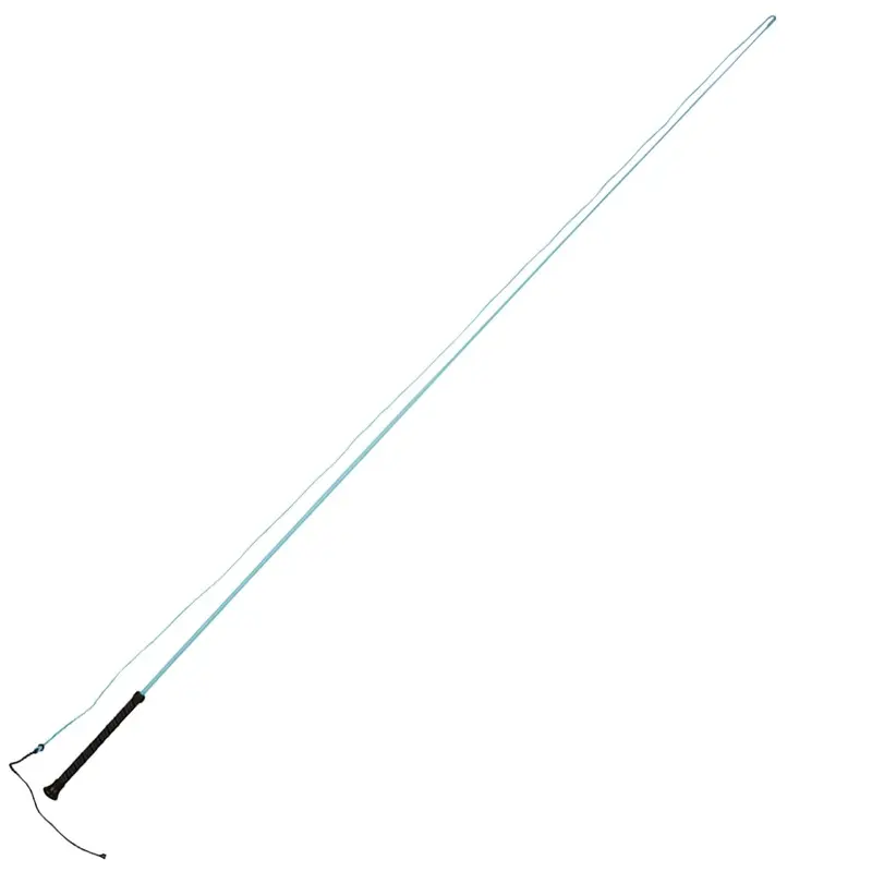 Dublin Brights Lunge Whip