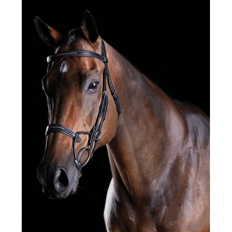 Collegiate ComFITec Fancy Stitch Bridle