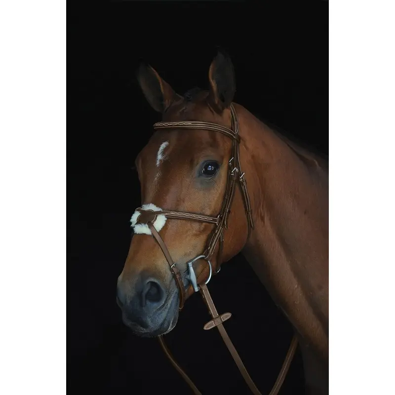 Collegiate Mono Crown Figure 8 Bridle, Brown