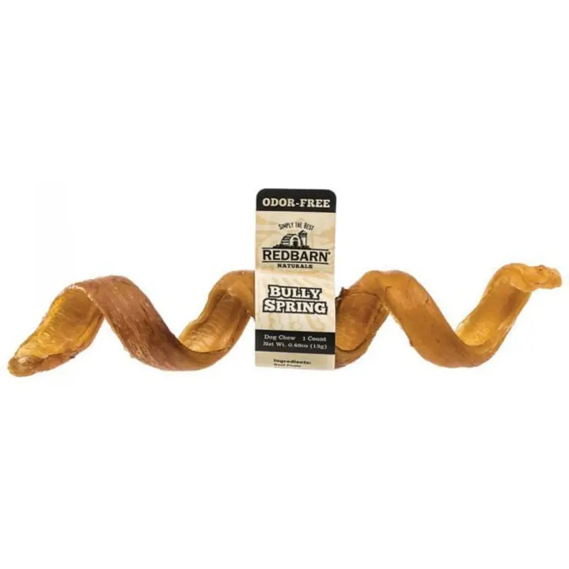 Odor-Free Bully Springs Dog Chew Treat, 6"