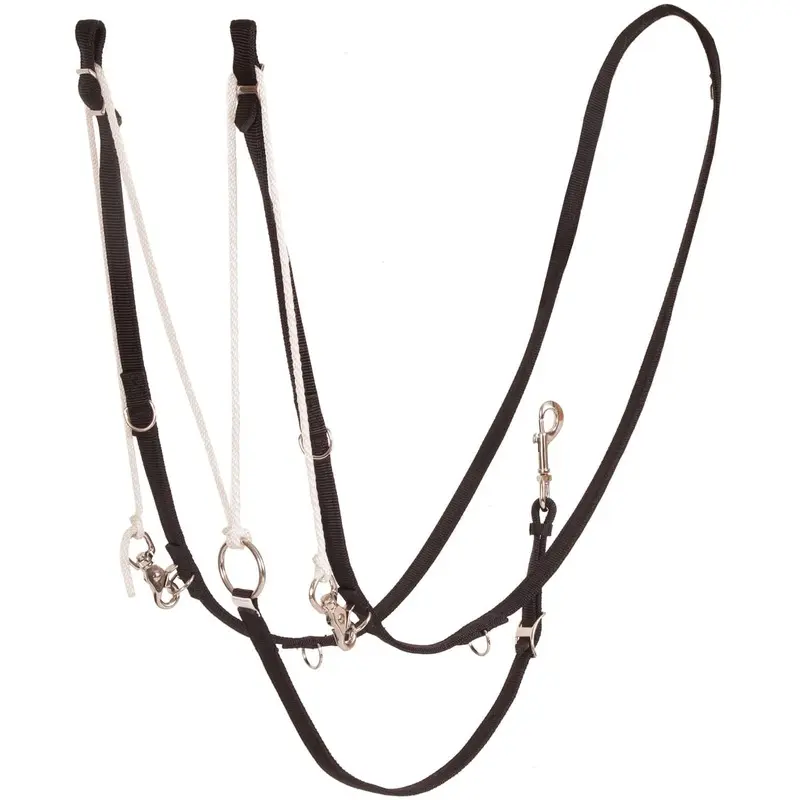 German Martingale