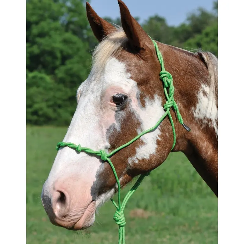 Twisted Poly Rope Halter
