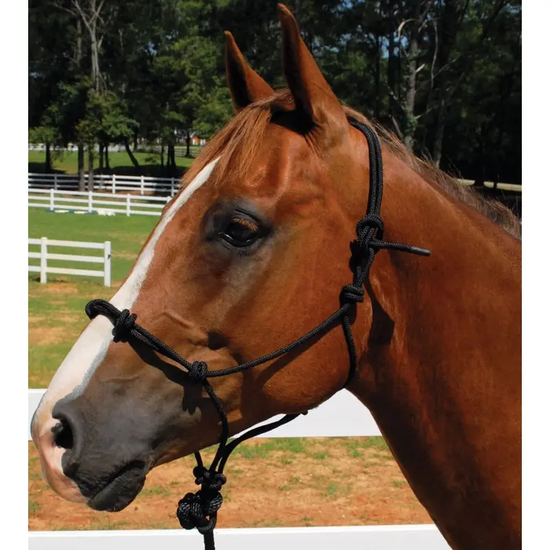 Knotted Rope Horse Training Halter