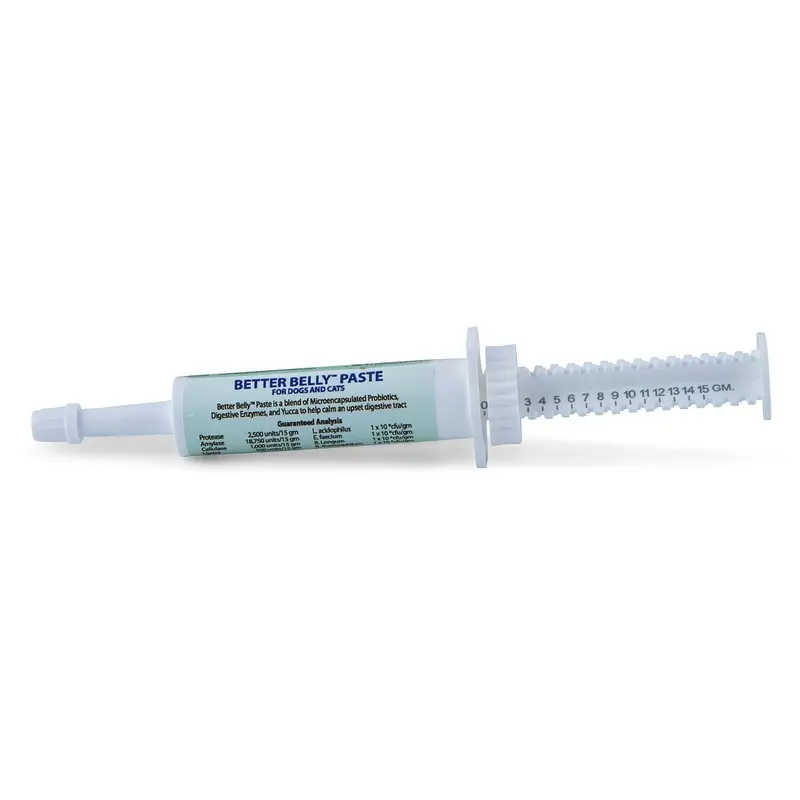 Prothrive Better Belly Paste, 15 gm