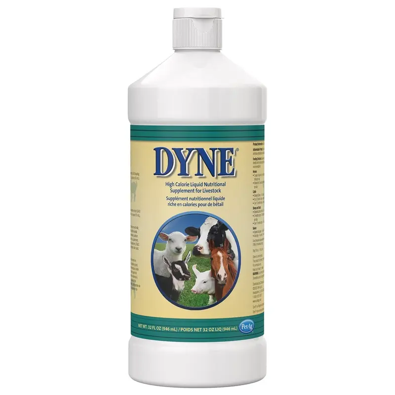 Dyne High Calorie Liquid Nutritional Supplement for Livestock