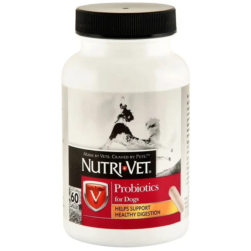 Nutri-Vet Probiotics for Dogs