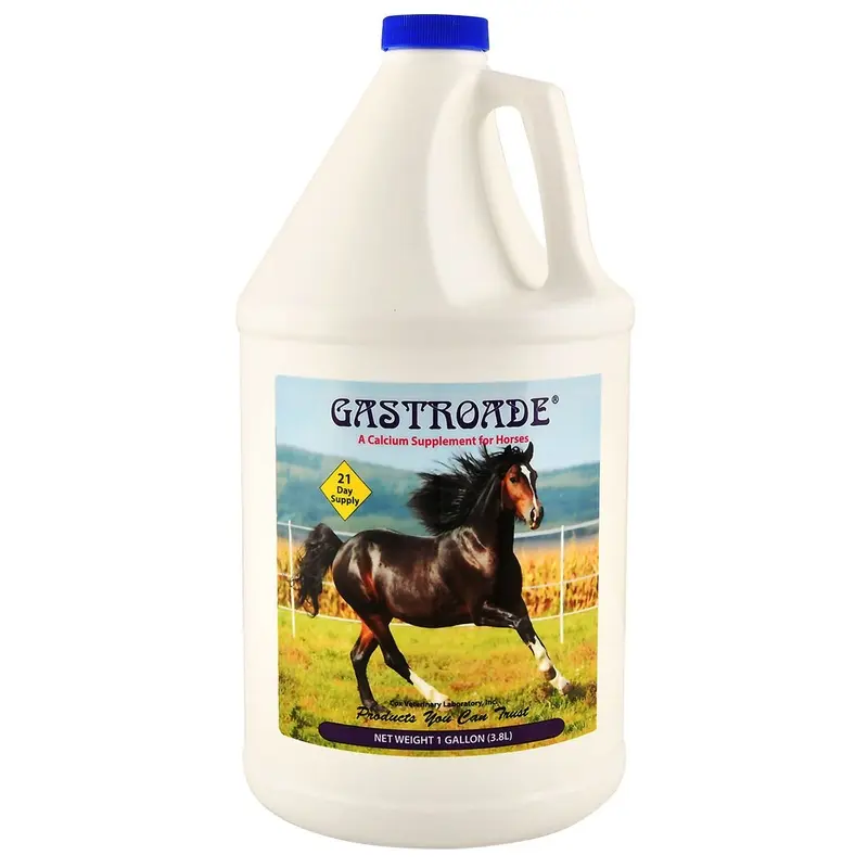 Gastroade Liquid GI Supplement for Horses