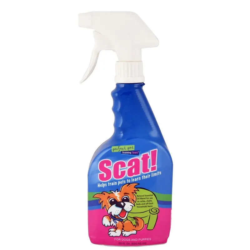 Scat!