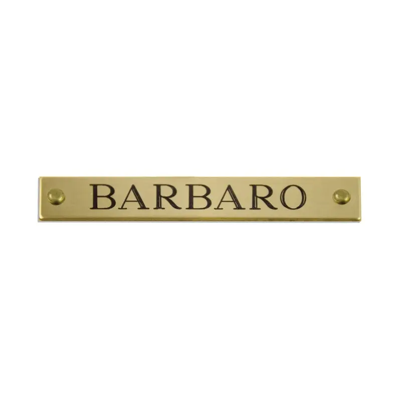 Beveled Brass Halter Plates