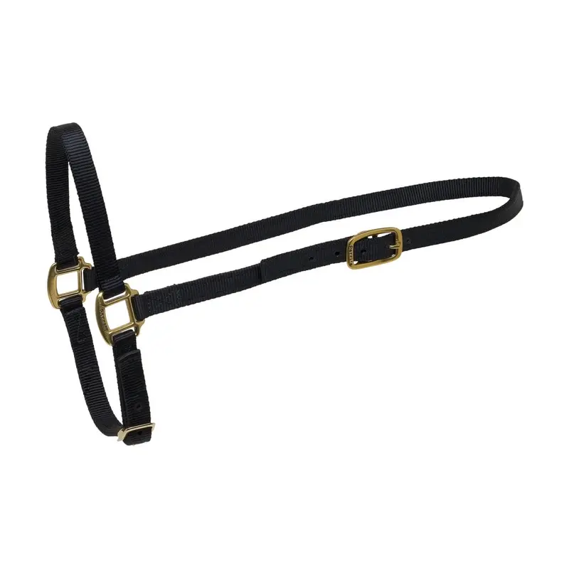 Nylon Grooming Halter