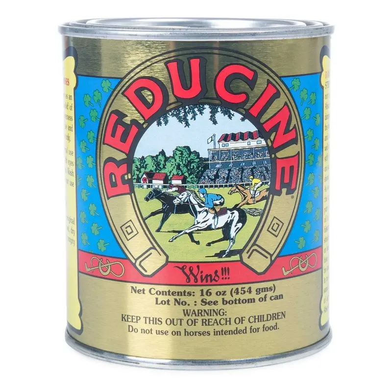 Reducine Absorbent, 16 oz