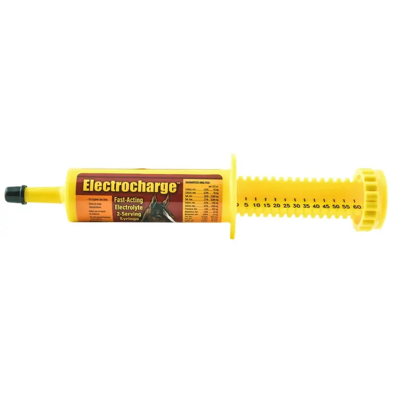 Electrocharge Electrolyte Paste for Horses, 60 cc (2 dose)