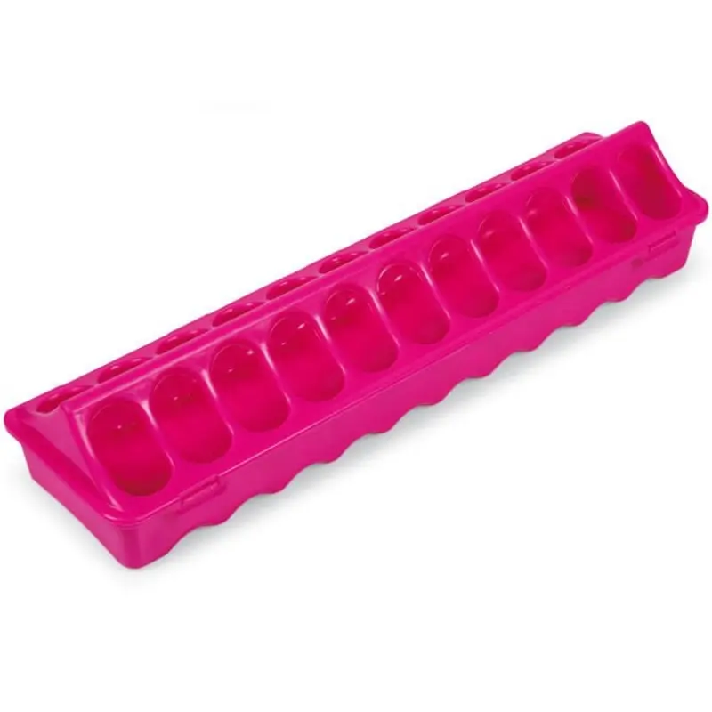 Ground Chicken Feeder, Large