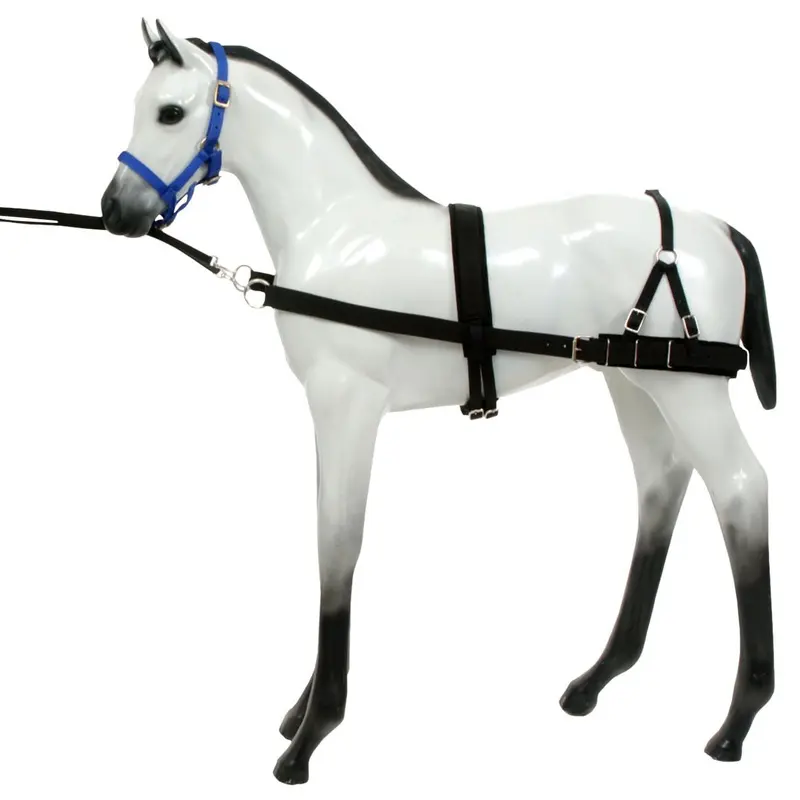 Foal Training Device