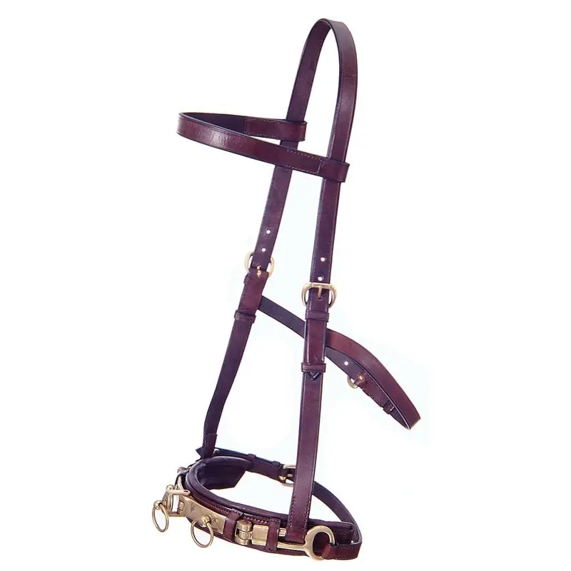 Leather Lunge Cavesson