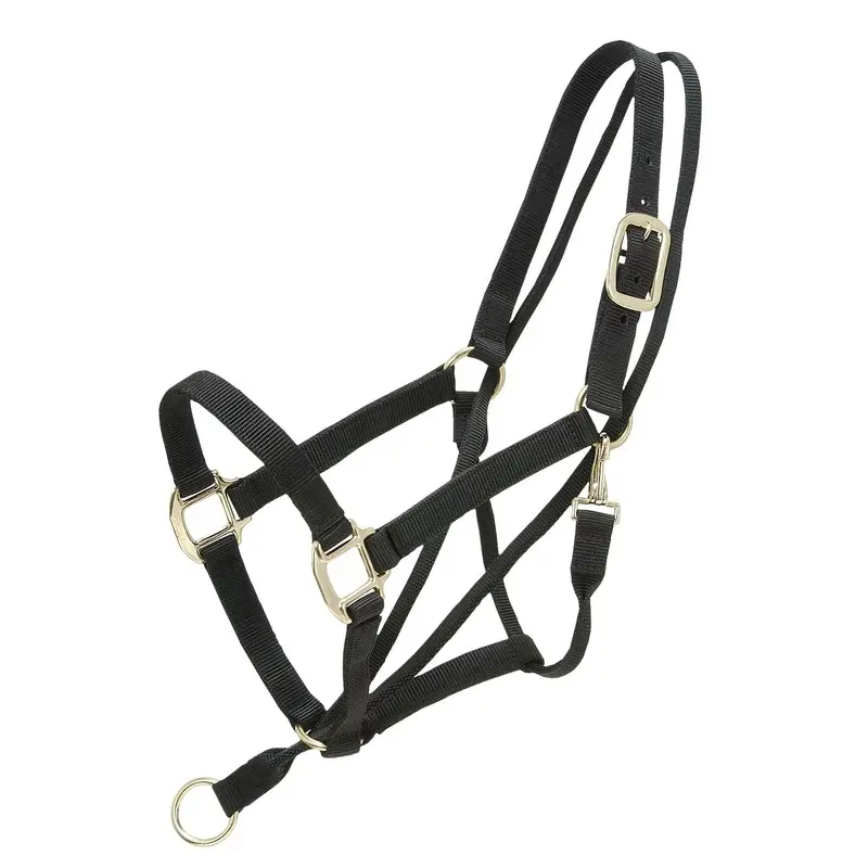 Pull-Back Halter