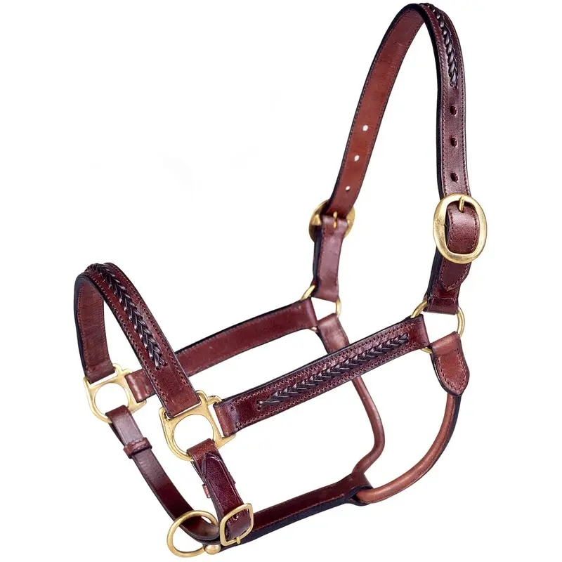 Royal King Braided Leather Halter