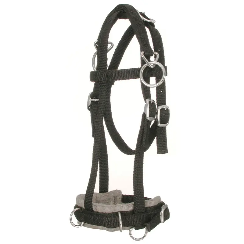 Miniature Horse Nylon Training Caveson, Brown