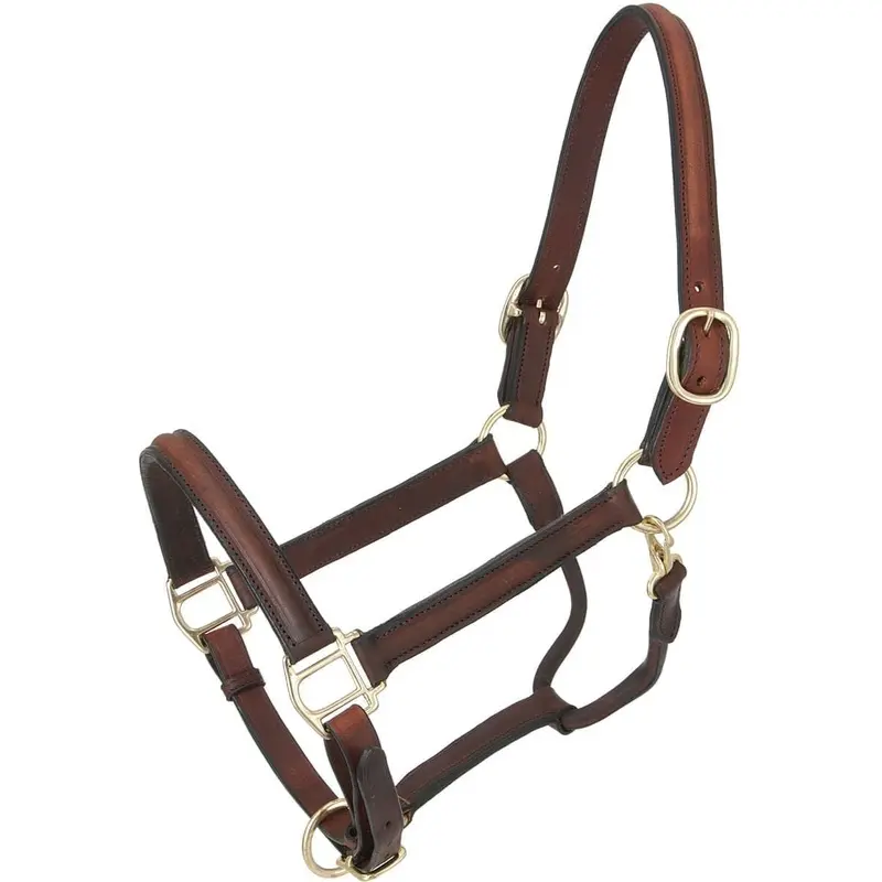 Royal King Raised Leather Halter