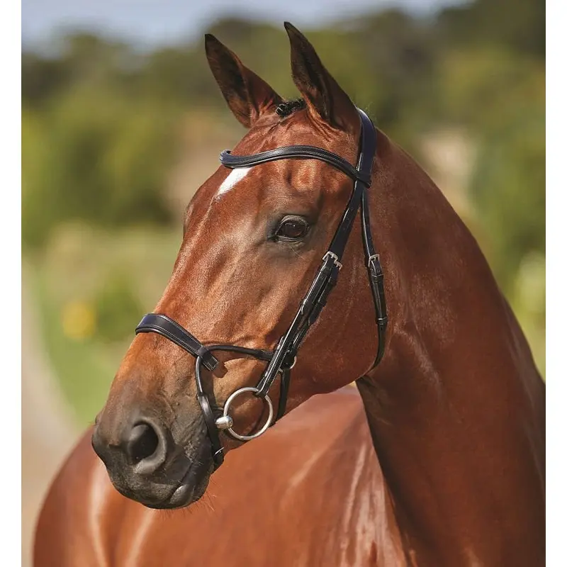 Collegiate ComFITec Training Bridle
