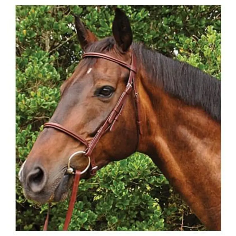 Weatherbeeta Kincade Plain Raised Bridle, Full size