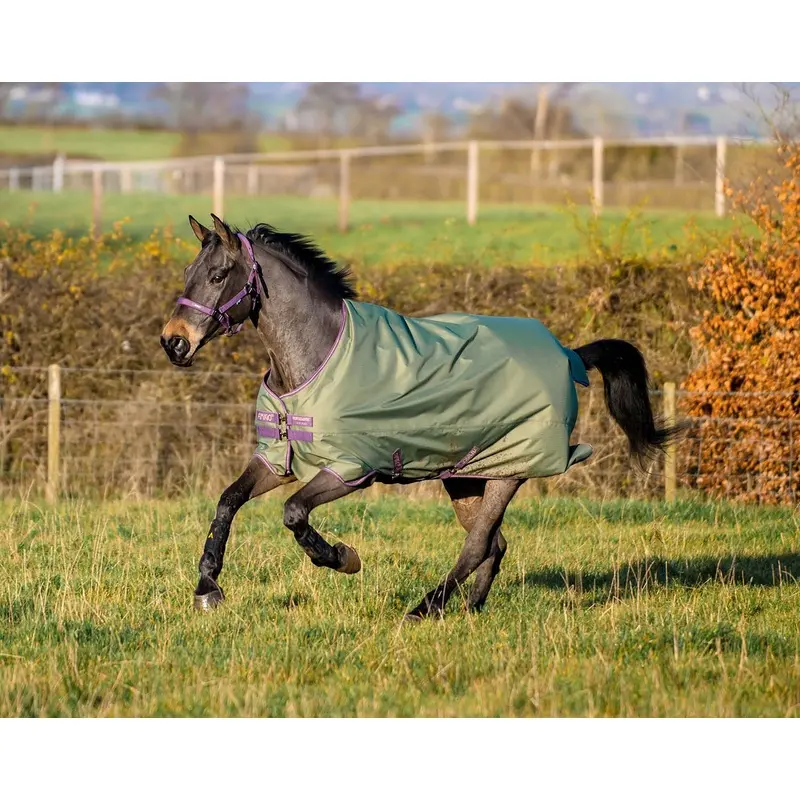Amigo Hero Ripstop Turnout Sheet, Bramble/Winterberry