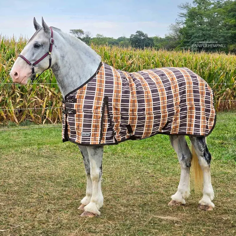 Jeffers Solaris 1200 Denier Draft Horse Turnout Blanket, 240g, Brown & Cream Plaid