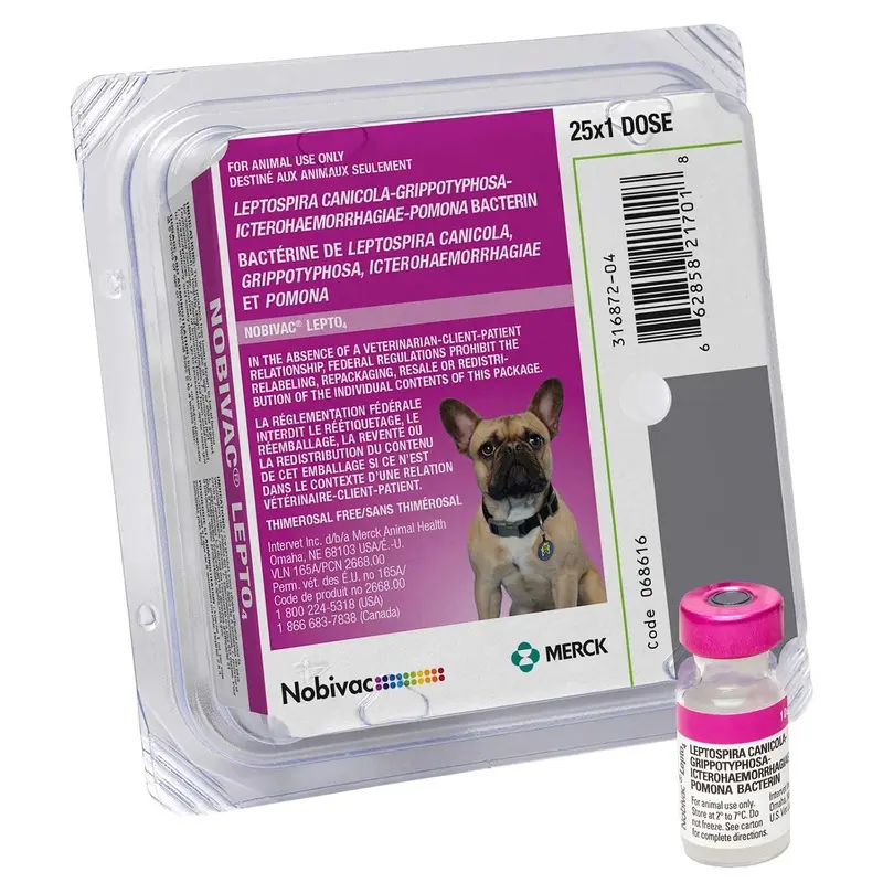 Nobivac Lepto 4 Dog Vaccine, 25 x 1