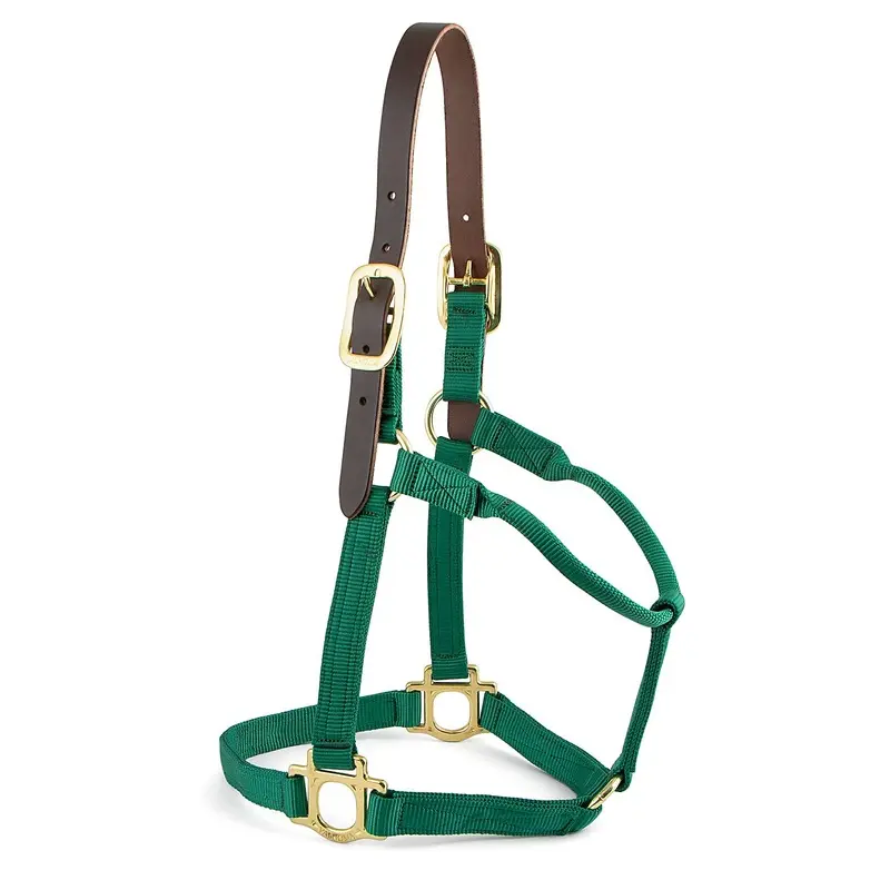 Valhoma Premium Breakaway Nylon Halter with Leather Crown