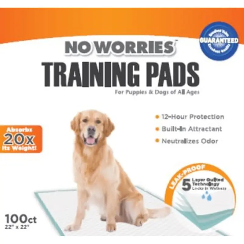 No Worries 12-Hour Dog Training Pads, 100 ct, 22" x 22"