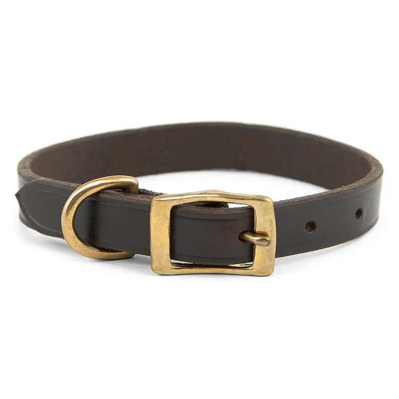 Jeffers Flat Leather Dog Collar with Brass Hardware